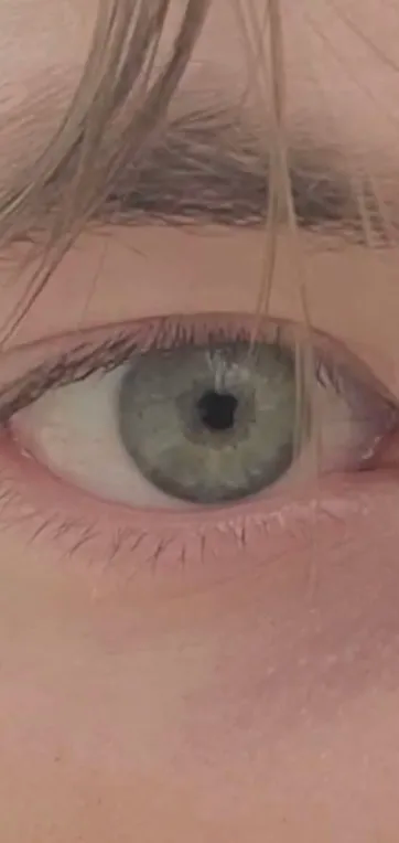 𝕰𝖛𝖊𝖗𝖑𝖆𝖘𝖙𝖎𝖓𝖌 𝕹𝖆𝖙𝖚𝖗𝖊 tweet media