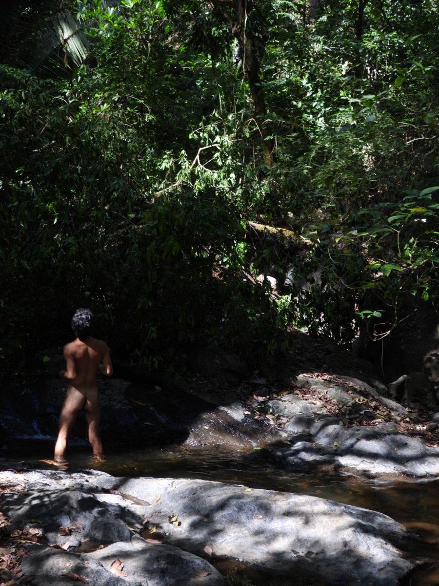 Roxander tweet media