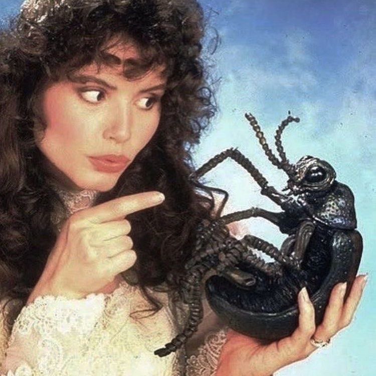 𝔥𝔞𝔫𝔫𝔞𝔥 tweet media