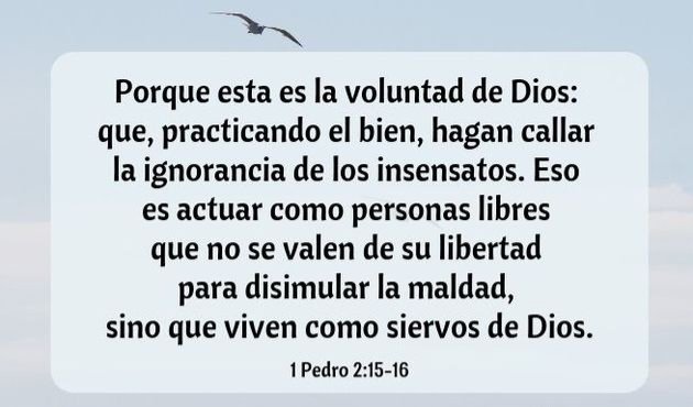 1964_perez's tweet photo. https://t.co/PT41zvM9XM
