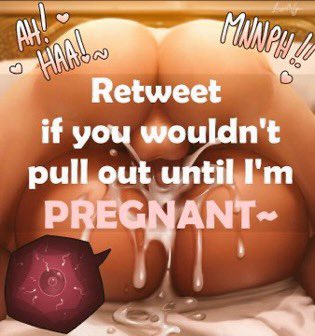 Sparks the Jolteon tweet media