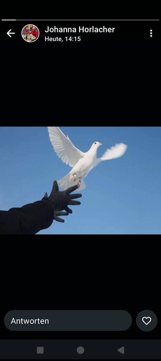 Roberto Mulach tweet media