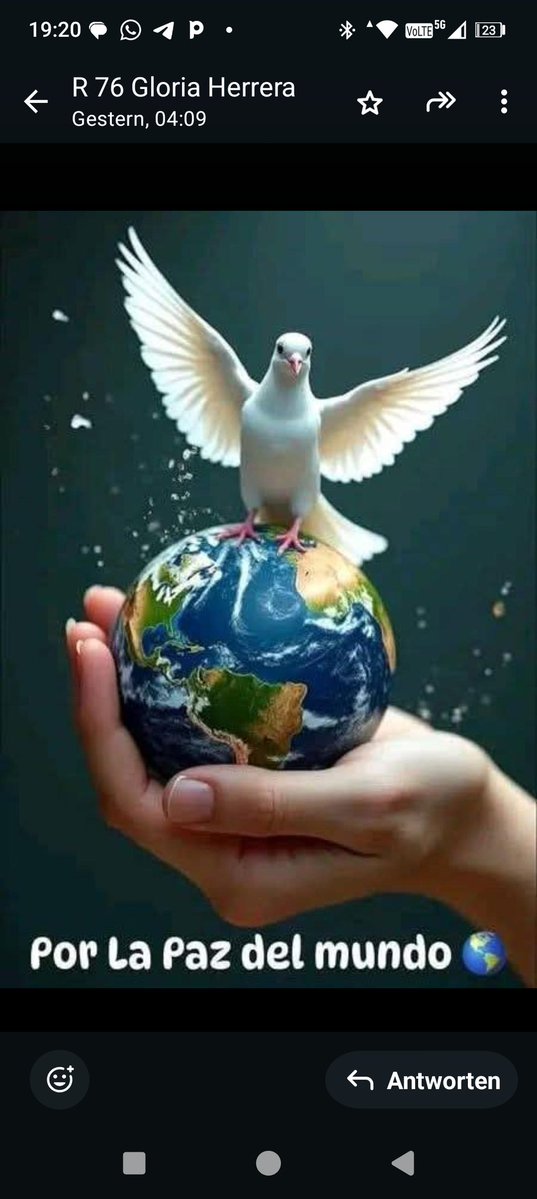 Roberto Mulach tweet media