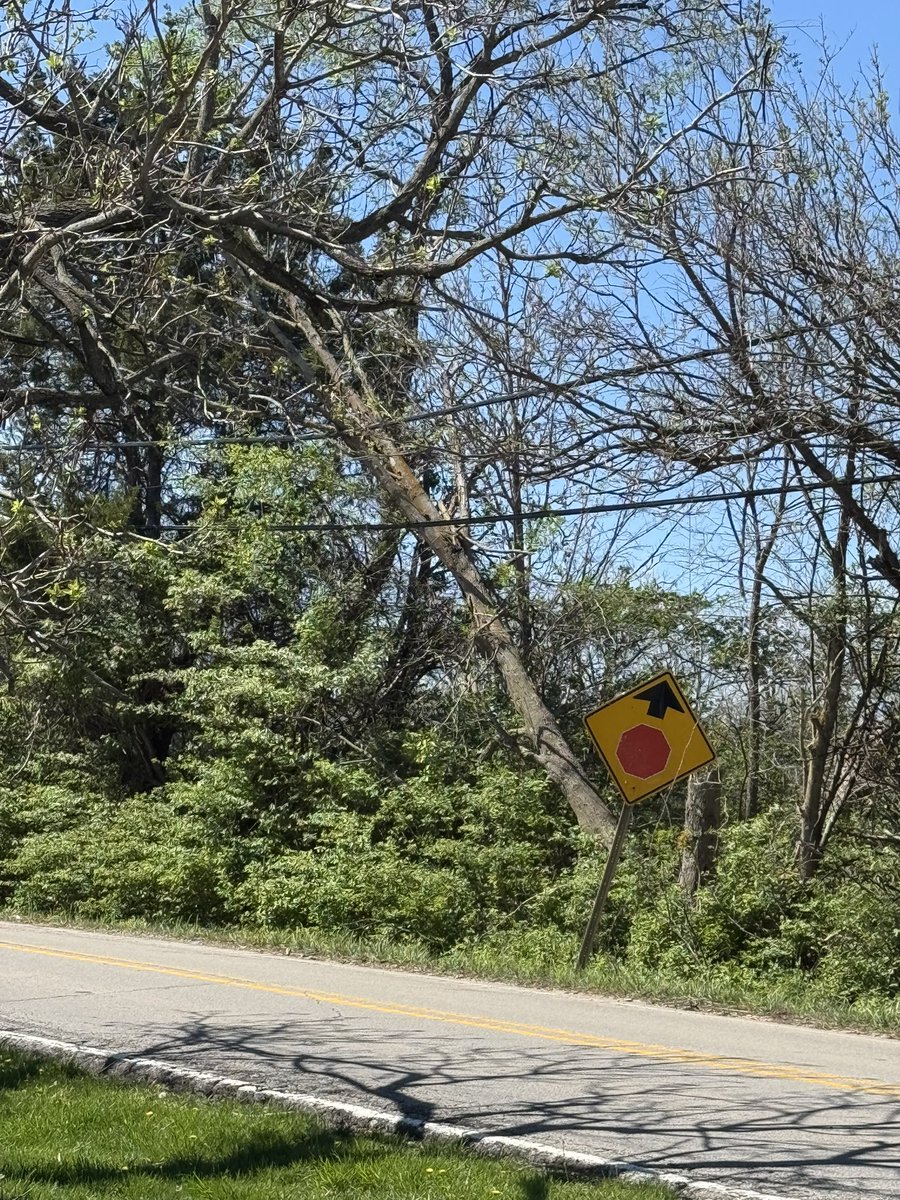 GTMontgomery729's tweet photo. @LouMetro311 / @lgeku - just a heads-up that at least 2 dead trees are laying atop power-lines on the north side of Aiken Road across the street from the building at 31010 Aiken Road - it appears they were dead, and the wind has knocked them over and now they’re atop the wires: https://t.co/1jhefzxOOS