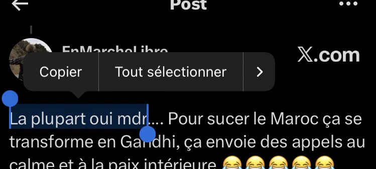 EnMarcheLibre tweet media