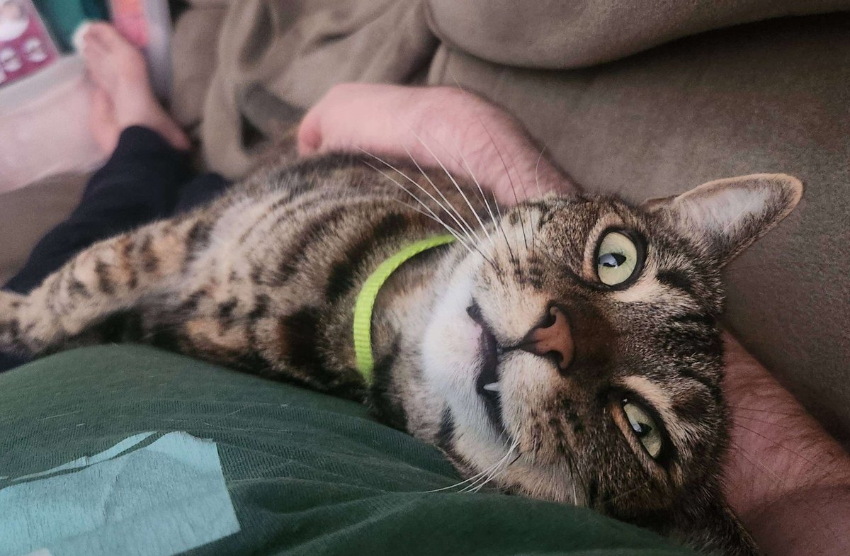 Scott Morris tweet media