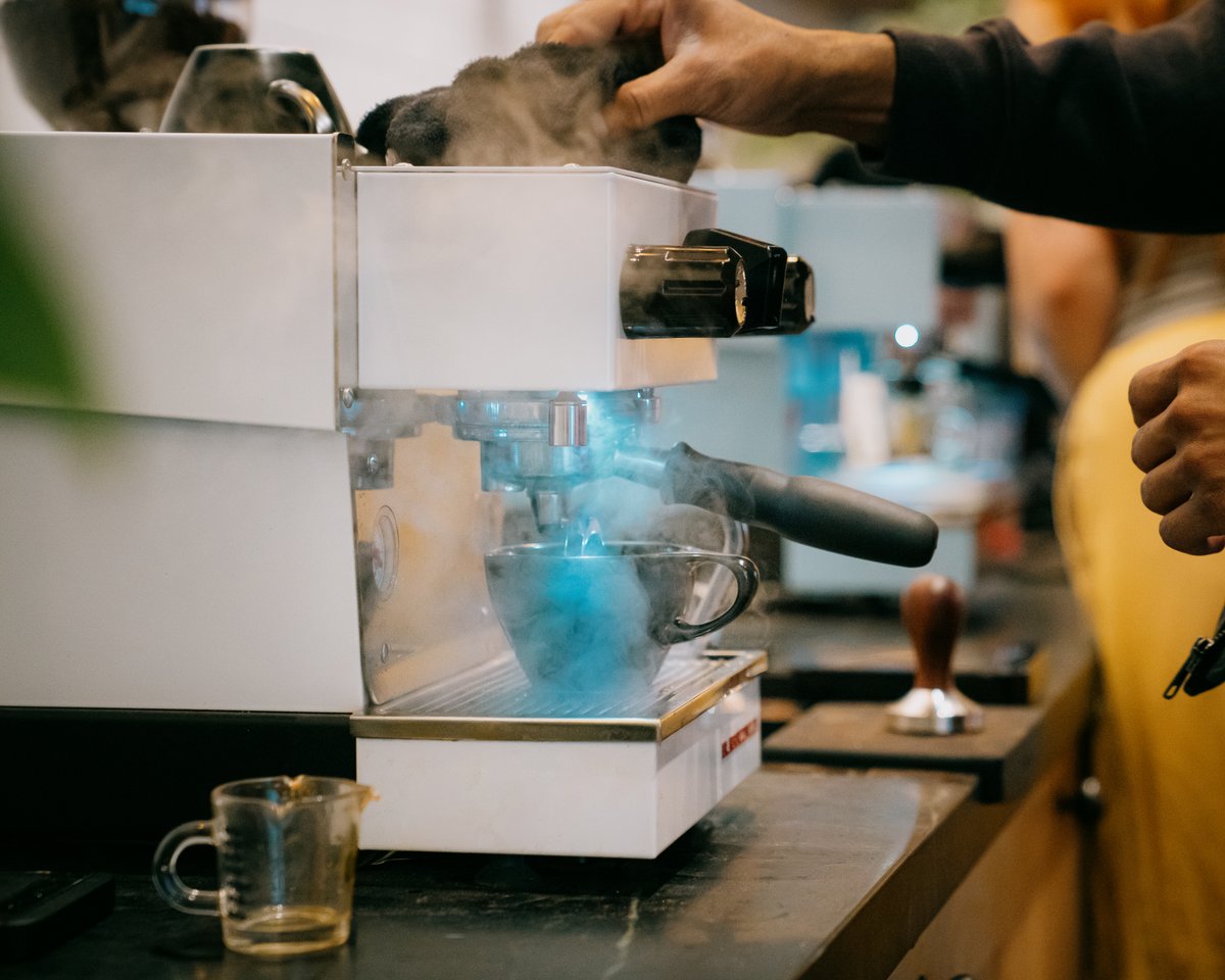 Caffe Vita tweet media