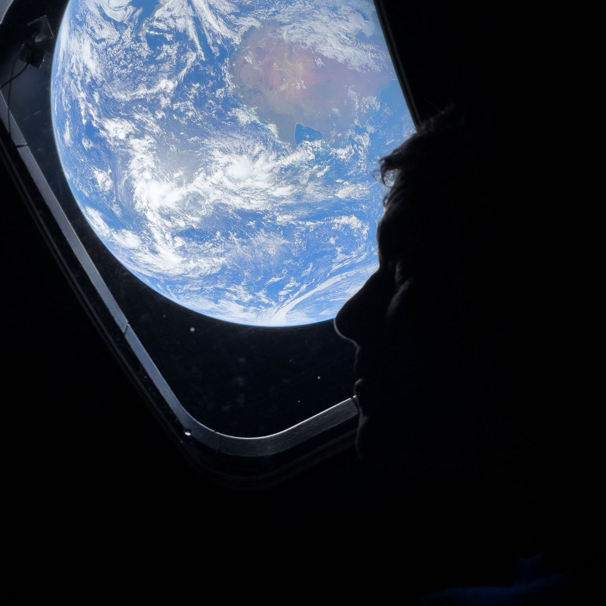 Pusholder tweet media