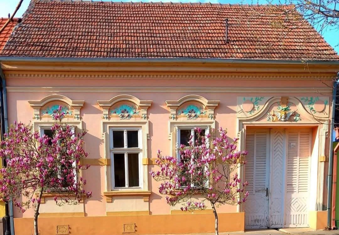 Scarlett O'Hara tweet media