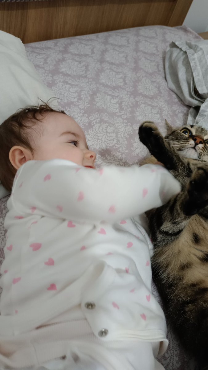 sarmanoğullarıı ve tekiroğullarıı tweet media