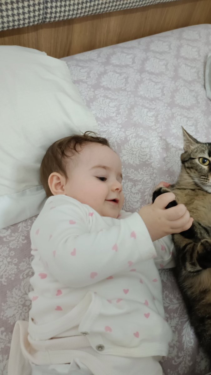 sarmanoğullarıı ve tekiroğullarıı tweet media