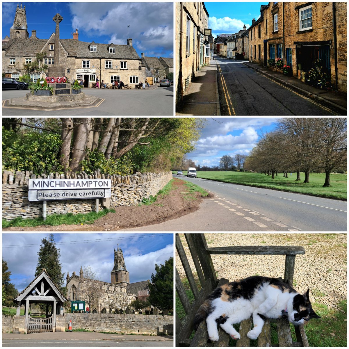 CB_cycles's tweet image. Yesterday afternoon while I was in Gloucestershire I went to Minchinhampton on the Cotswolds for a walk. Met the friendly church cat and had an ice cream at Winstone's 🌞🐈🍦 #afternoonwalk #Minchinhampton #Cotswolds 1/2...