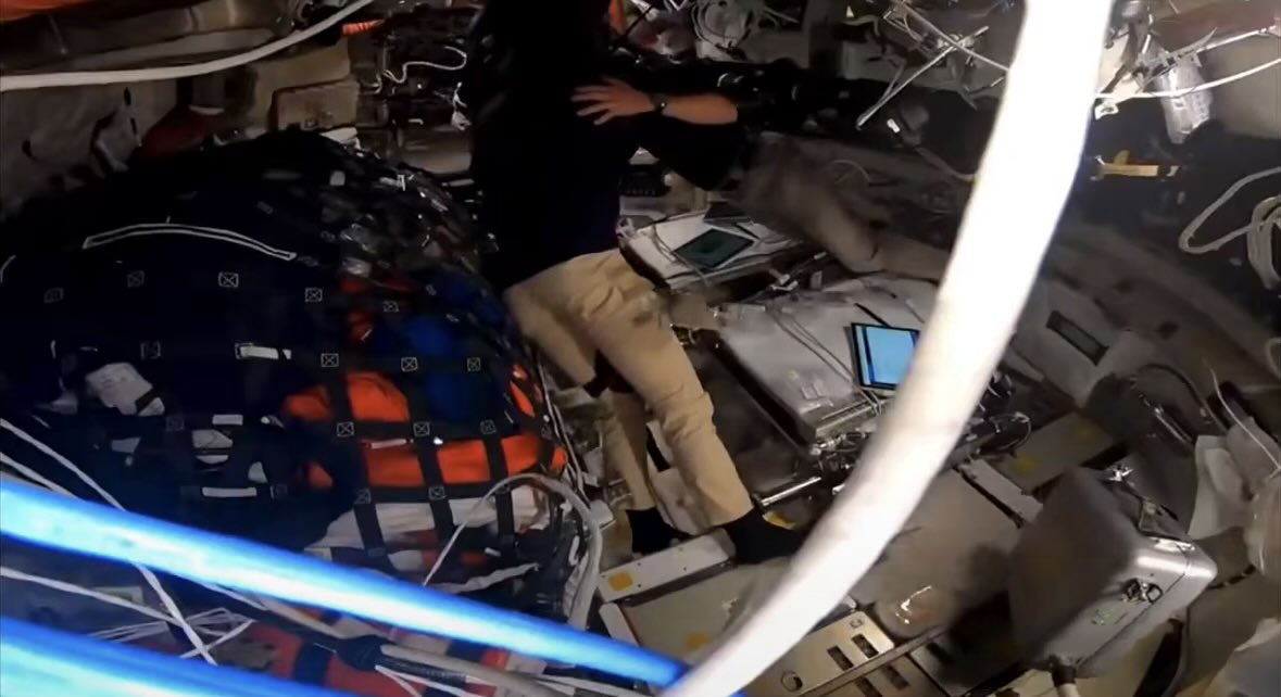 creepycrawler0's tweet image. Humanity can be beautiful sometimes