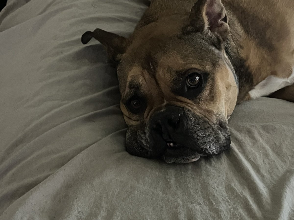 vindictive. 🇺🇸 tweet media