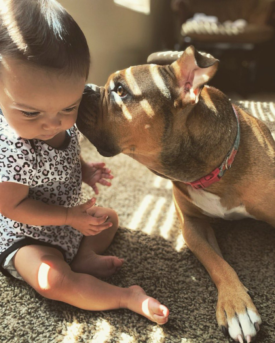 vindictive. 🇺🇸 tweet media