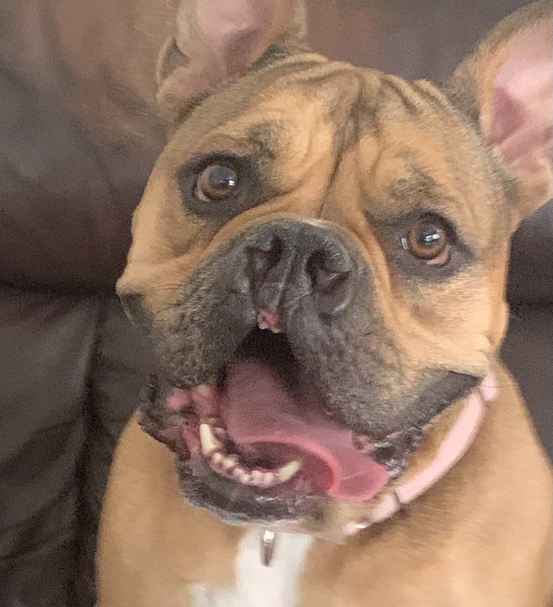 vindictive. 🇺🇸 tweet media