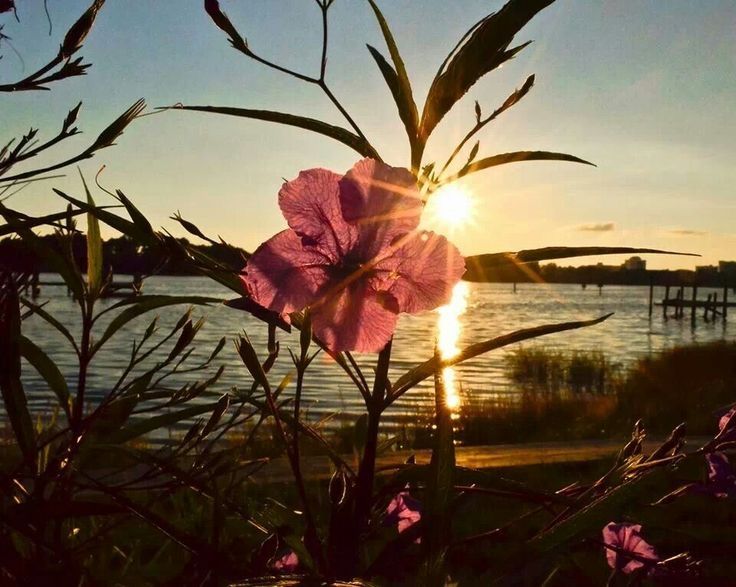 mira ౨ৎ tweet media