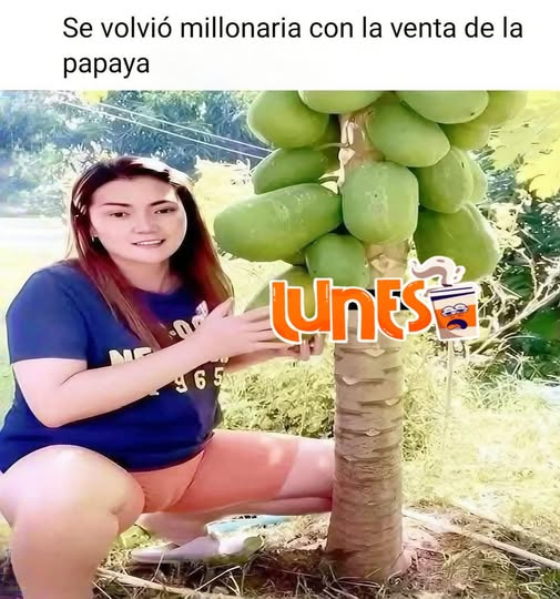 MANDANGA CON V DE VENGANZA tweet media