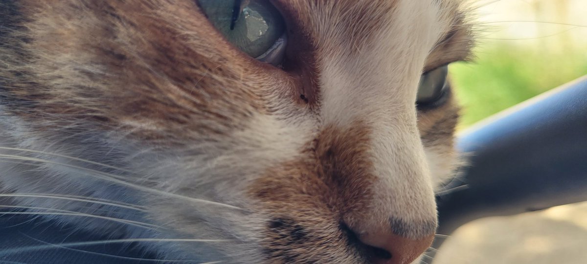 ᴰᴼᴬ (@tehrealdoa) on Twitter photo 