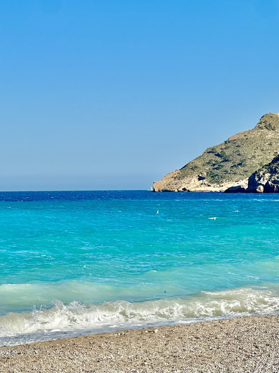 Serj🇮🇨 tweet media