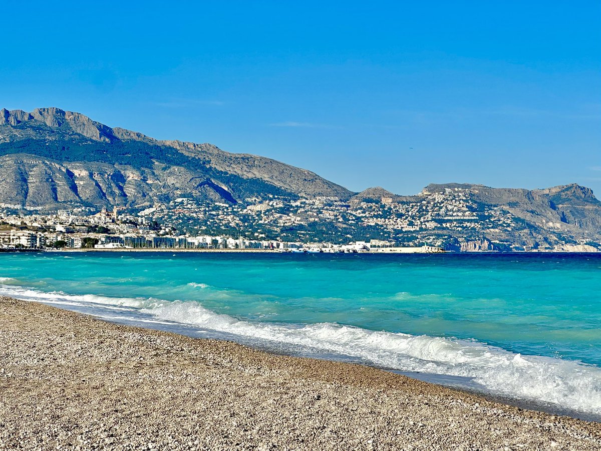 Serj🇮🇨 tweet media