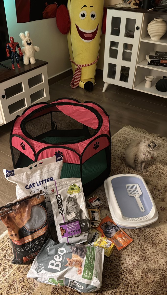 Just Hani tweet media