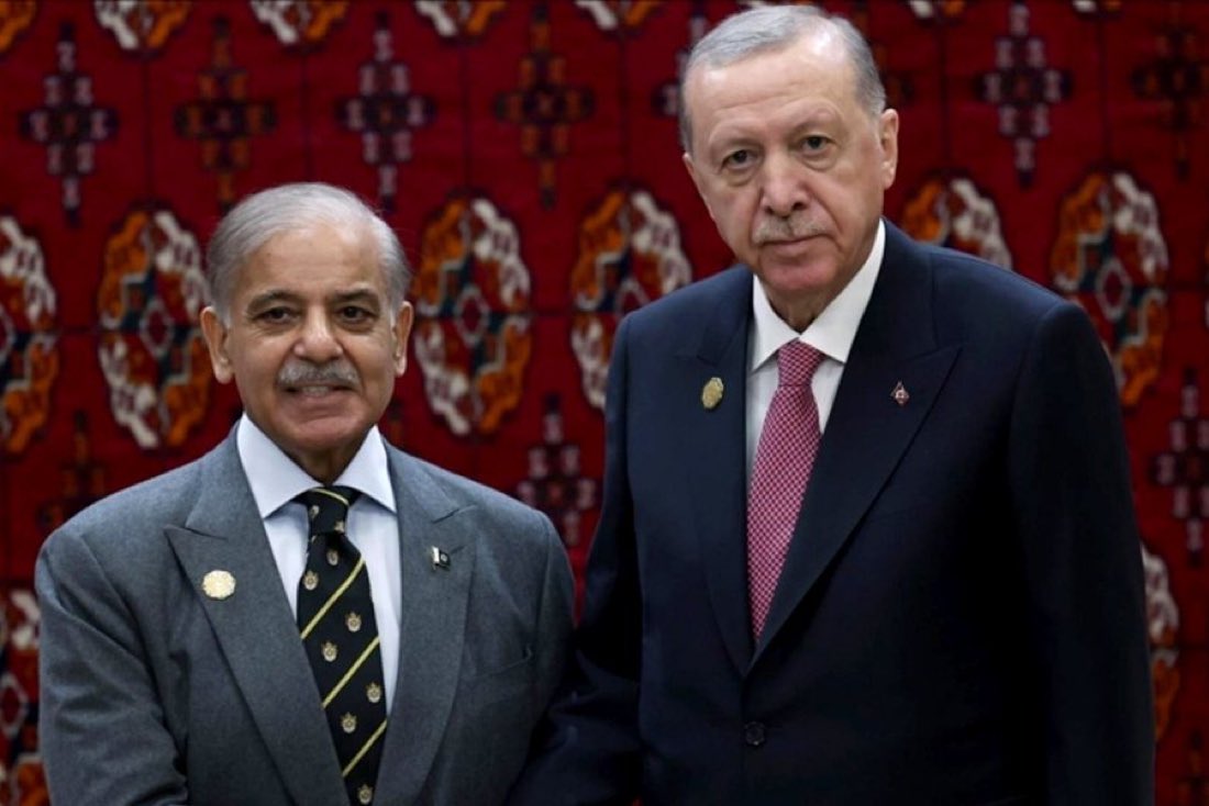 Sara Mir tweet media