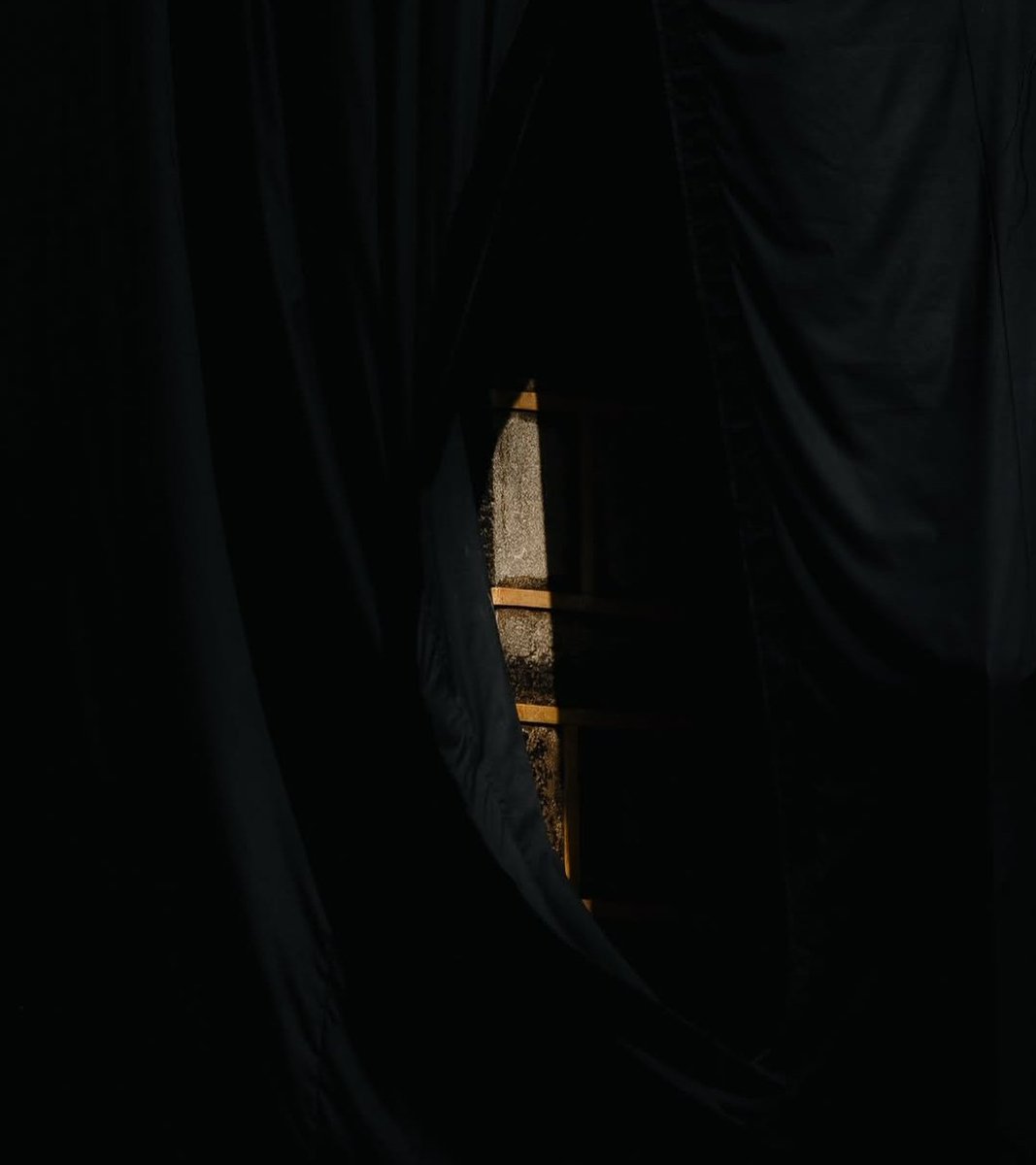 𝗛𝗮𝗿𝗮𝗺𝗮𝗶𝗻 tweet media