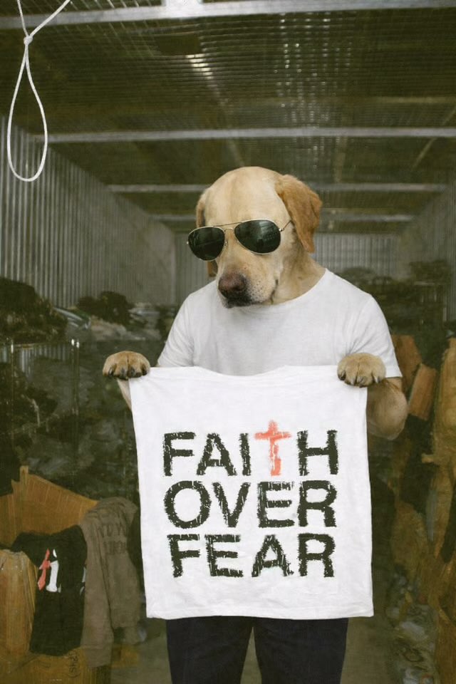 Look… here’s the thing about $DOG  it’s not just another meme floating around your timeline. 

From the very first moment I really looked at it, I knew something was different. 

The community is here, the devs aren’t sitting on bags, LP is locked, Jupiter verified, and the pack