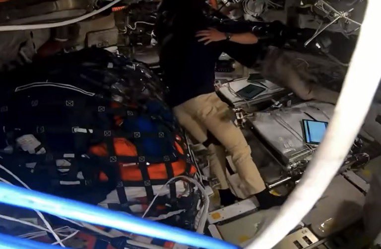 What the hell, sure tweet media