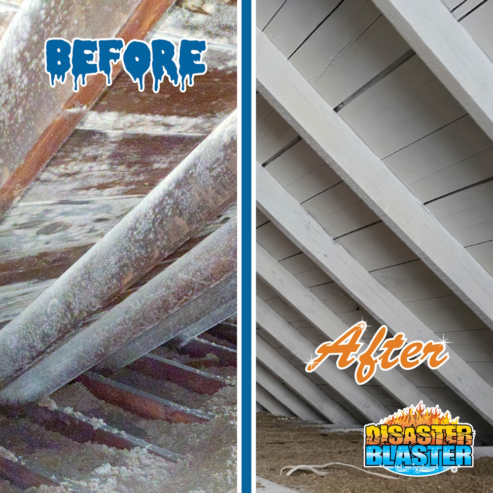 disasterblaster tweet media