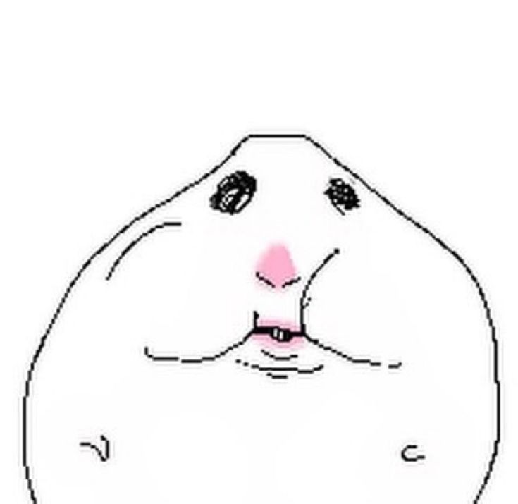 chyrka🍧 tweet media