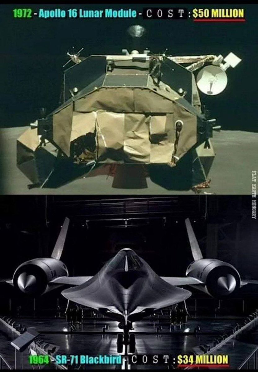 THE CRYPTO JESTER tweet media