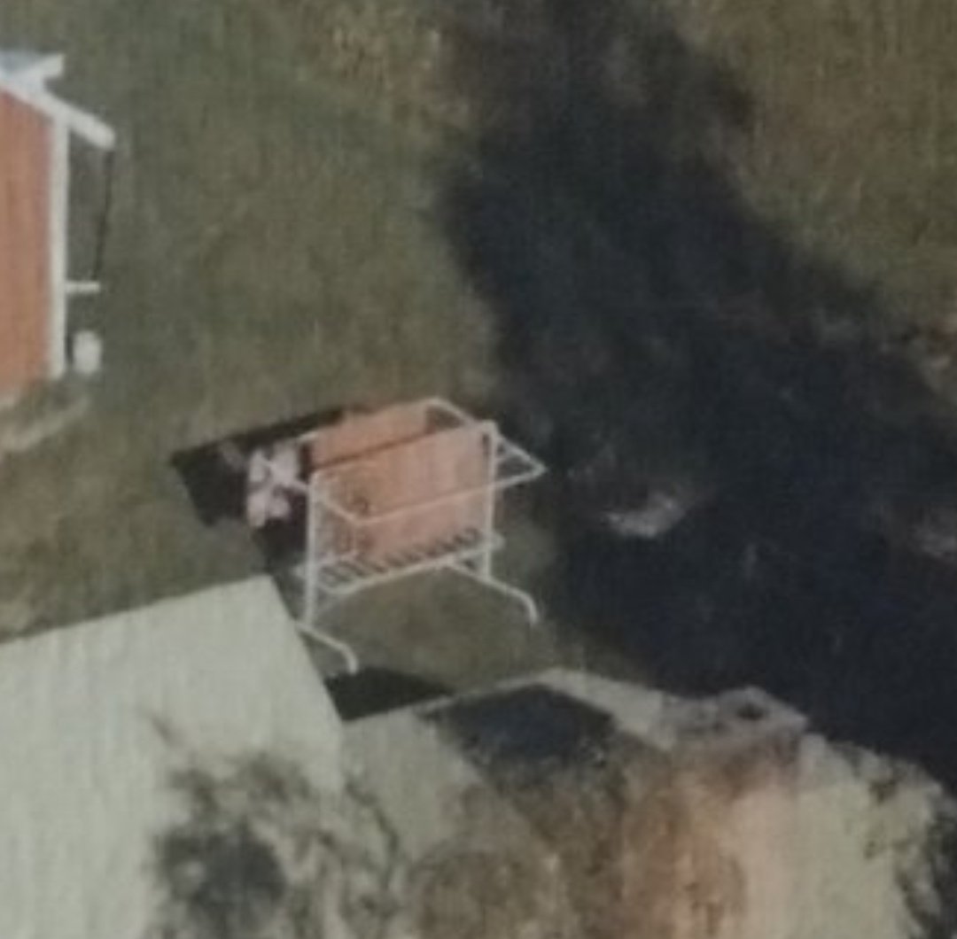 Birch Brother 🪓 tweet media