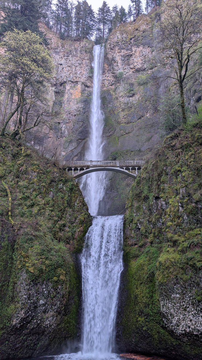 Multnomah falls in the Columbia River gorge.  Beautiful!