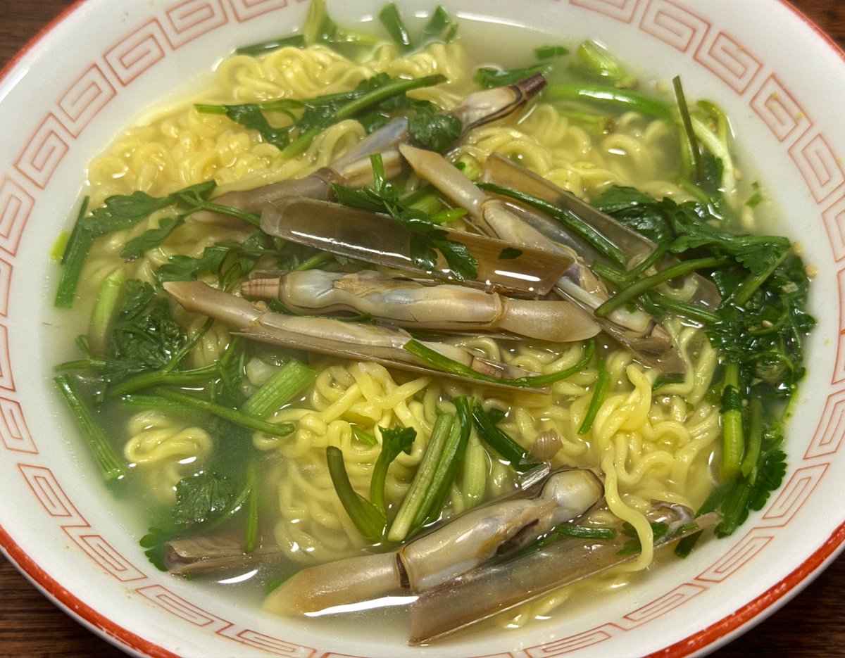 玉置標本 tweet media