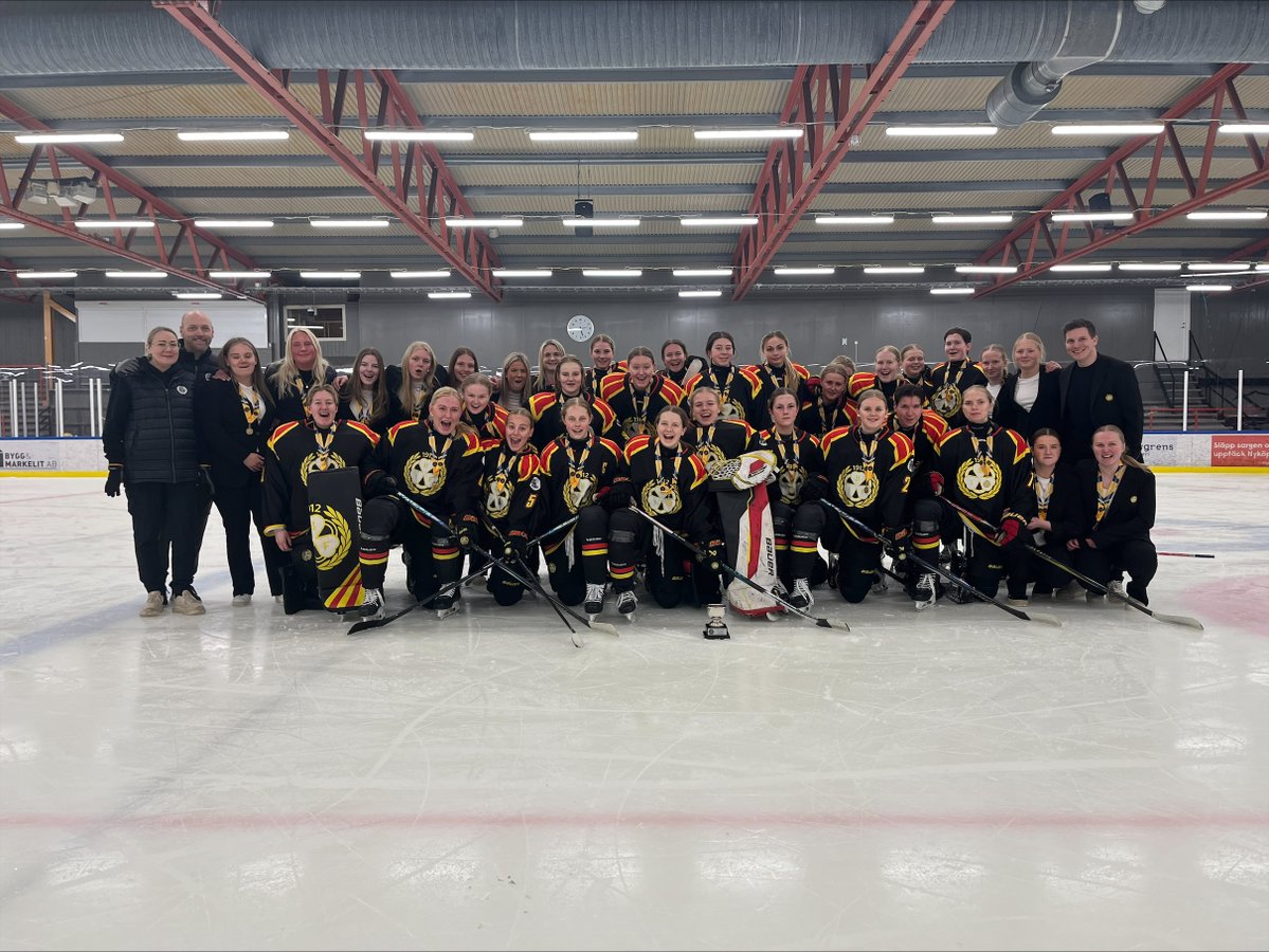 Brynäs IF tweet media