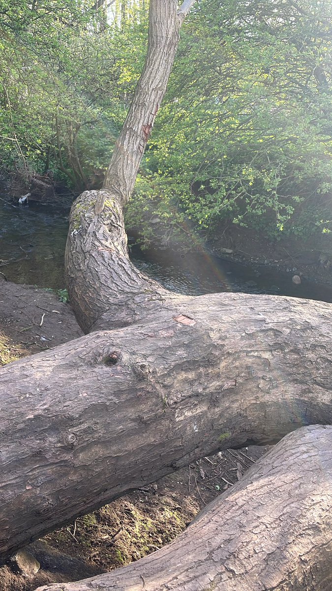 Isabella |-/ tweet media