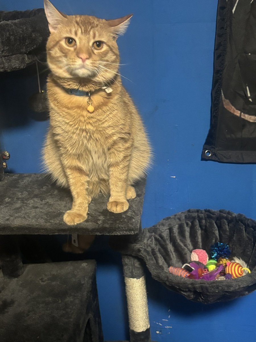 alex 👻🖤🦥 tweet media