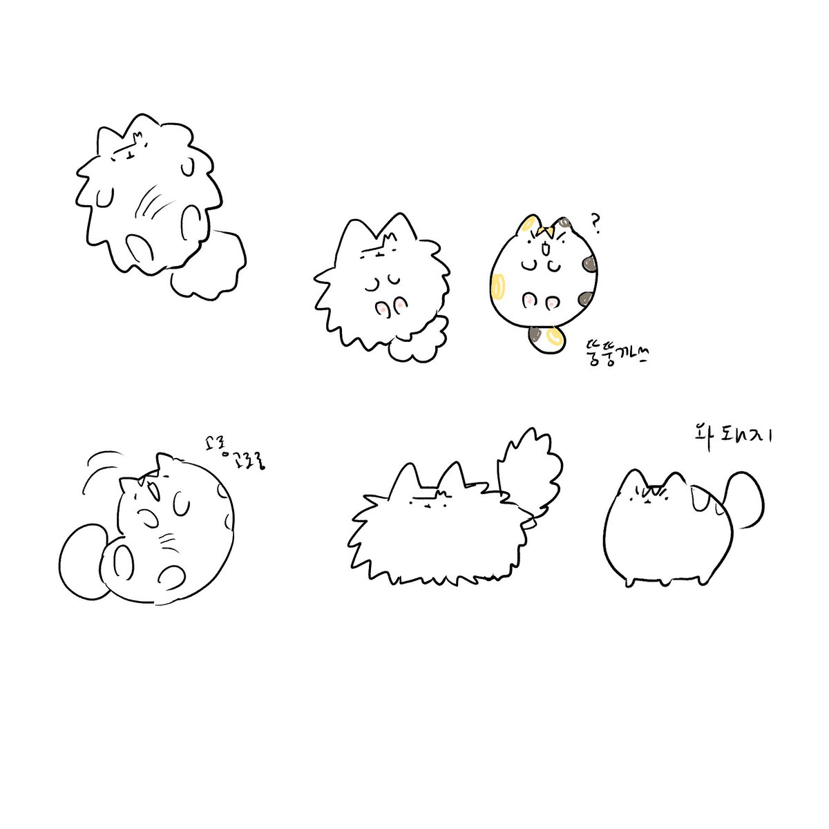 토마토 tweet media