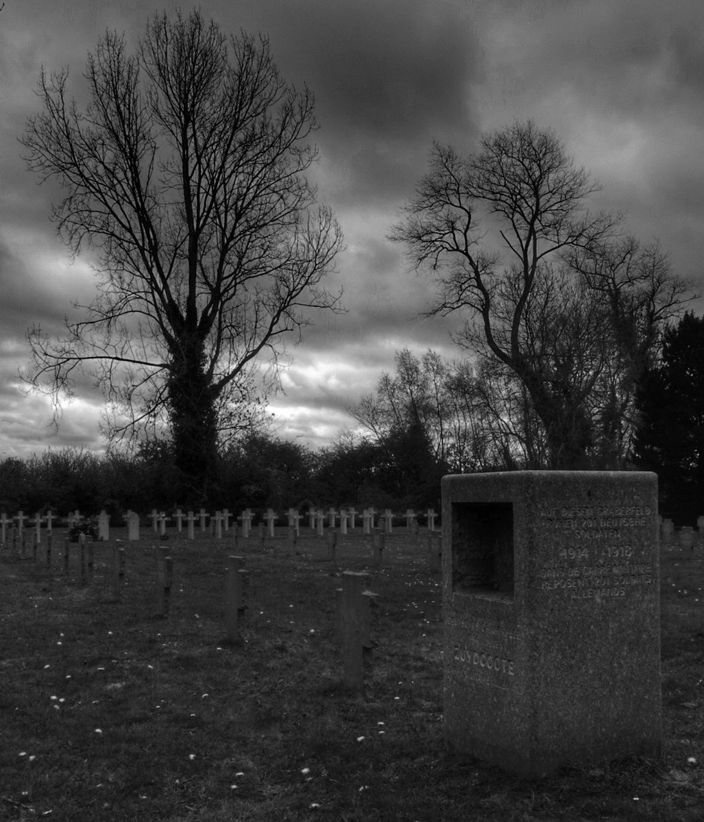 Andrew Holmes tweet media