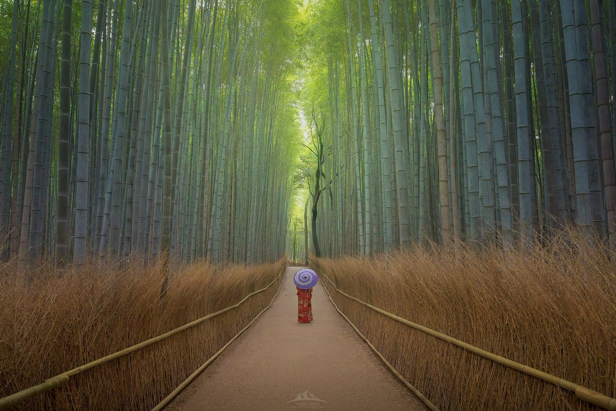 HugoValle tweet media