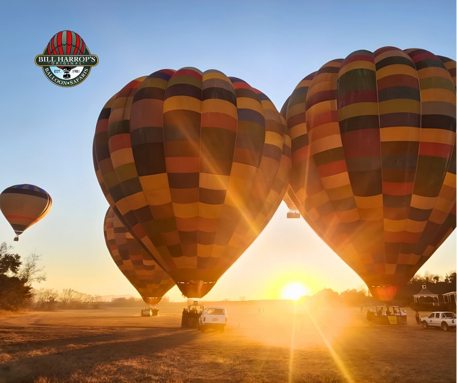 WTM_Africa's tweet photo. Experience South Africa from a completely different perspective with Bill Harrop Balloon Safaris.
π Meet us at WTM Africa 2026 to discover how this experience can form part of your travel offering.
#BHOBS #WTMAfrica #WTMAfrica2026 #MeetSouthAfrica #HotAirBallooning https://t.co/iWTMIQG3ZN