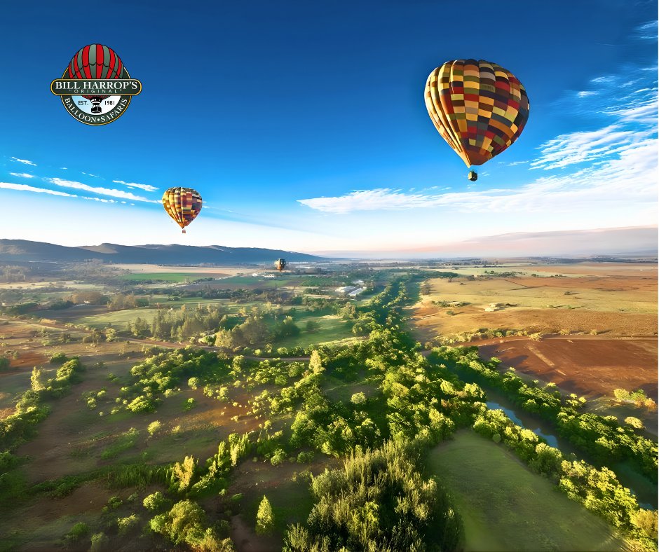 WTM_Africa's tweet photo. Experience South Africa from a completely different perspective with Bill Harrop Balloon Safaris.
π Meet us at WTM Africa 2026 to discover how this experience can form part of your travel offering.
#BHOBS #WTMAfrica #WTMAfrica2026 #MeetSouthAfrica #HotAirBallooning https://t.co/iWTMIQG3ZN