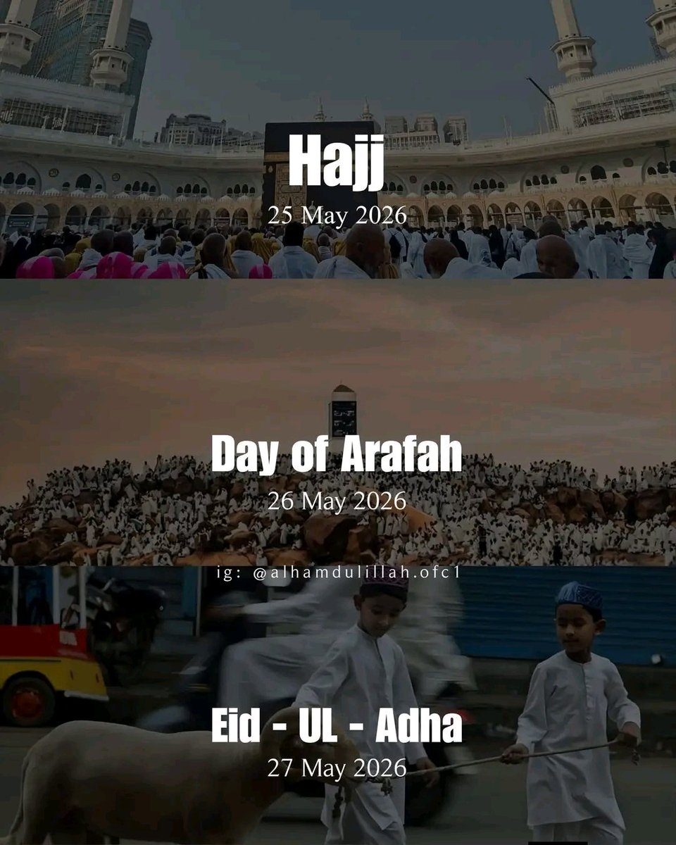 vermerlleey tweet media