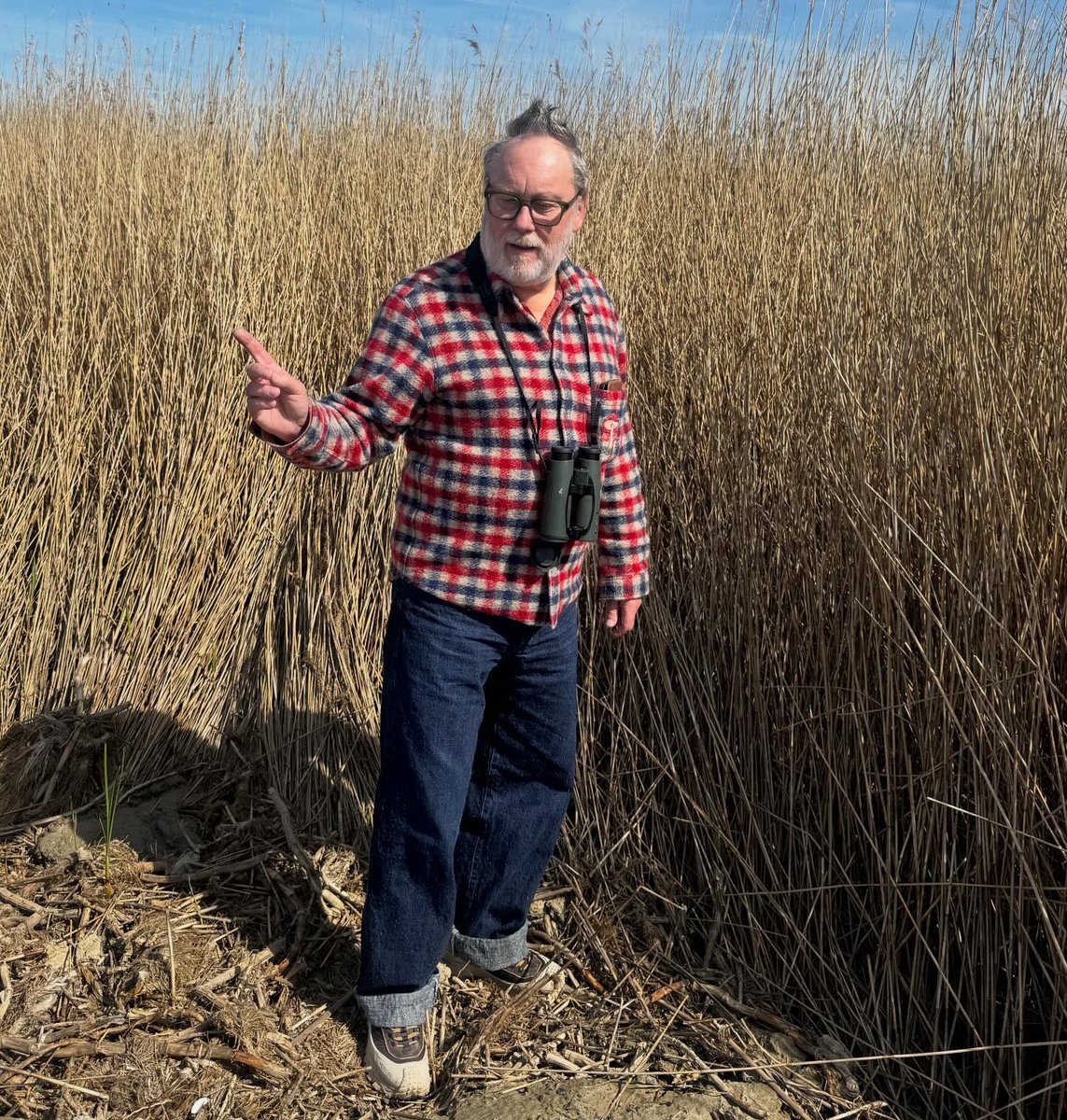 Nancy Sorrell tweet media