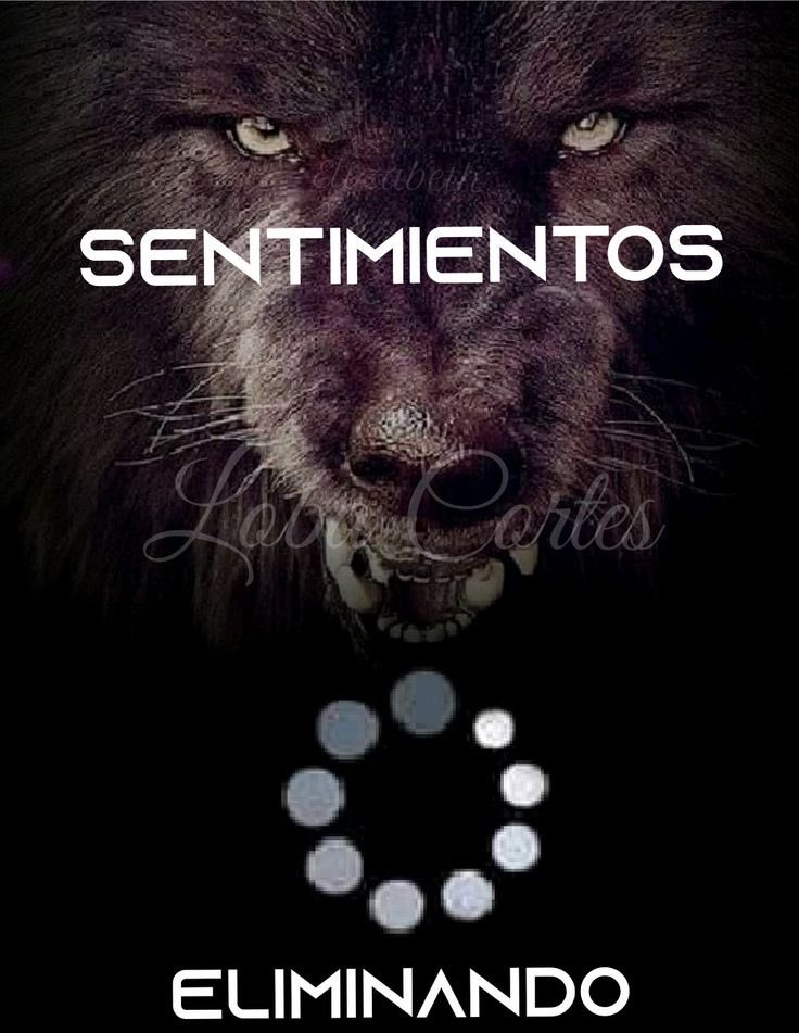 helen ⛧ (@nosoygorda) on Twitter photo 