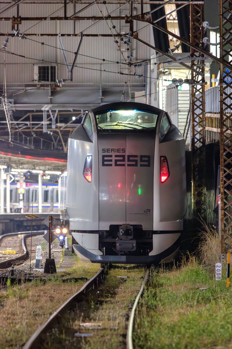 横横鉄道技研 tweet media
