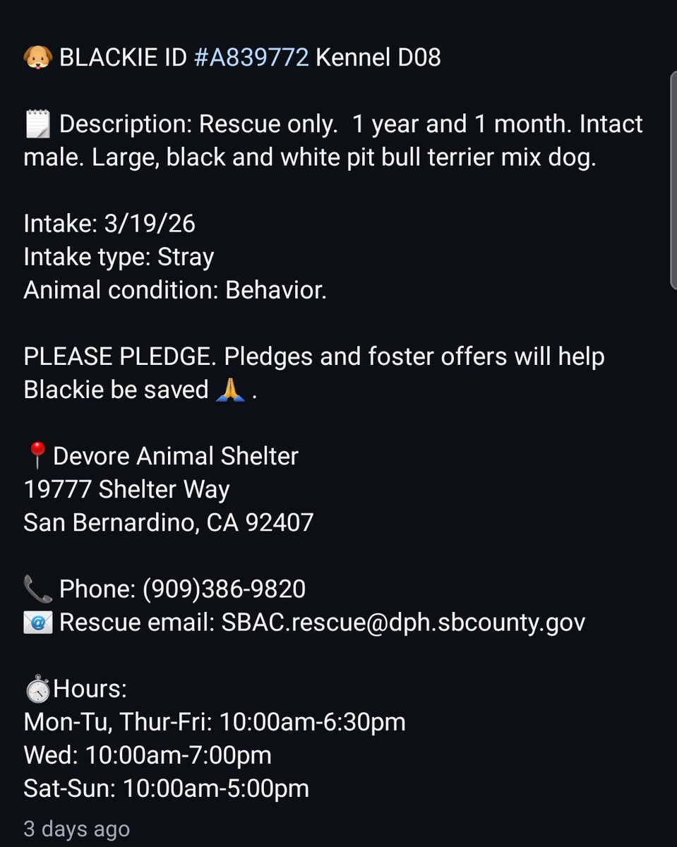 Foster a shelterpet at ZERO COST🐾 tweet media