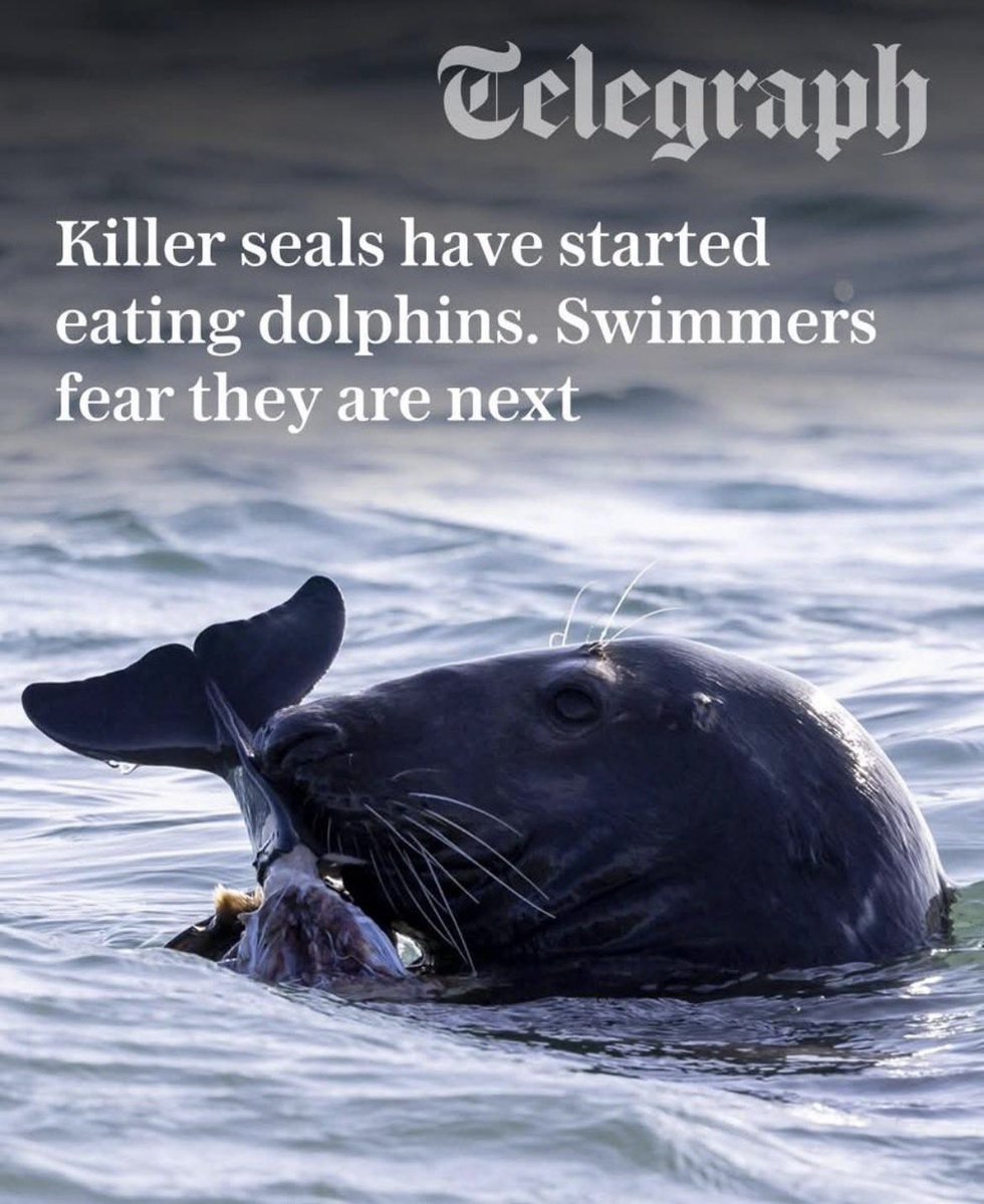 CH3STER87 tweet media